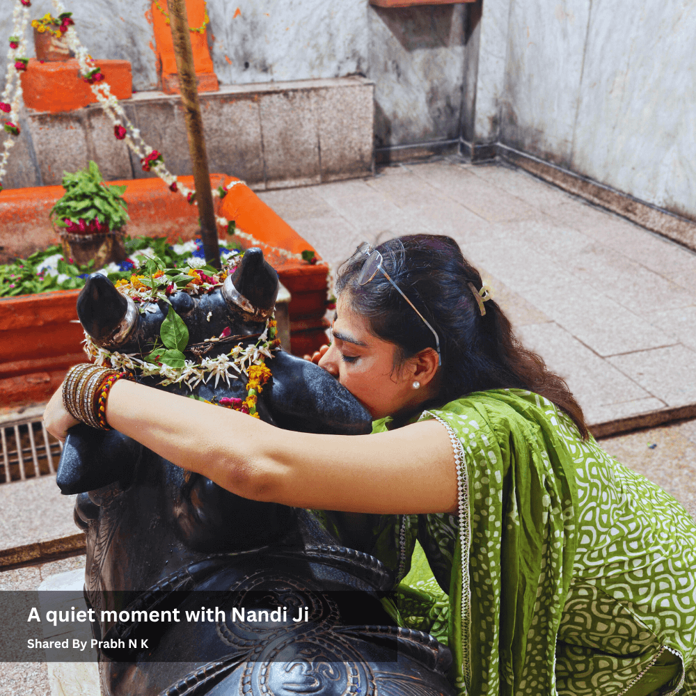 A quiet moment with Nandi Ji